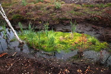 Similar image 3000066