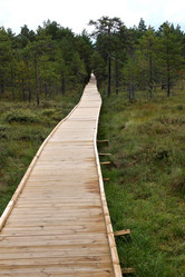 Similar image 3000068