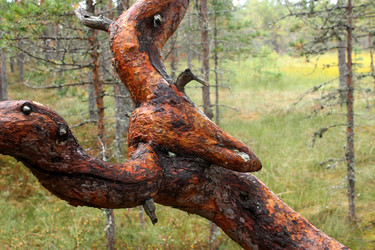 Similar image 3000072