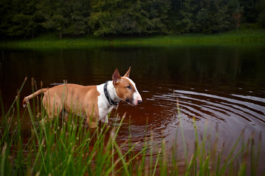 Similar image 3000077