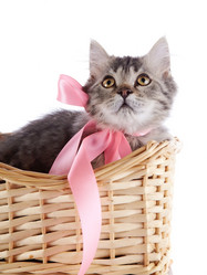 Similar image 3000093