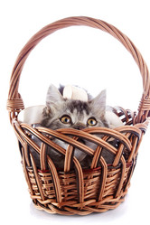 Similar image 3000095