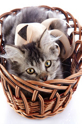 Similar image 3000096