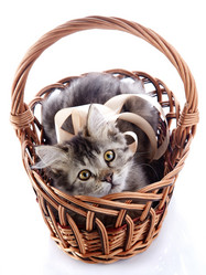 Similar image 3000097