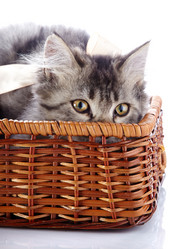 Similar image 3000098