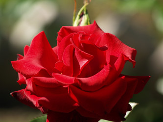 Similar image 3000141