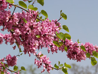 Similar image 3000149