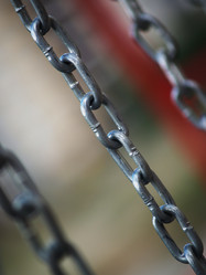 Similar image 3000155