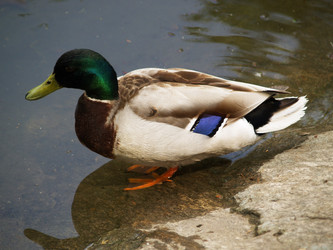 Similar image 3000163