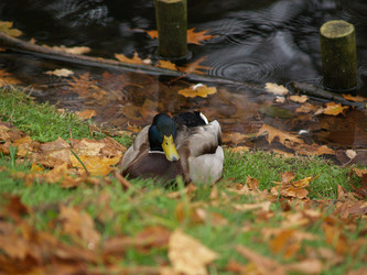 Similar image 3000167