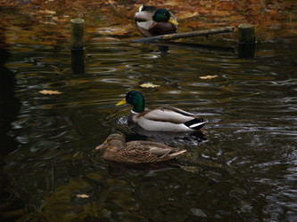 Similar image 3000168