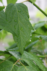 Similar image 3000172