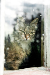 Similar image 3000356