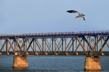 Similar image 3000414