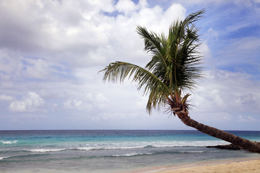 Similar image 3000418