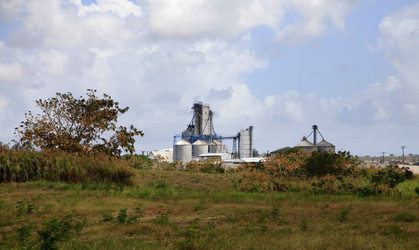 Similar image 3000426