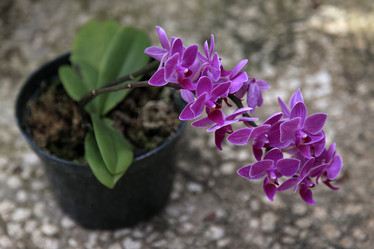 Similar image 3000427