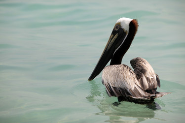 Similar image 3000434