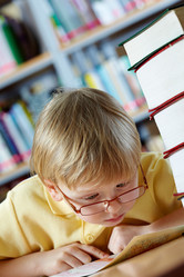 Similar image 3000455