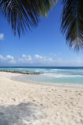 Similar image 3000461