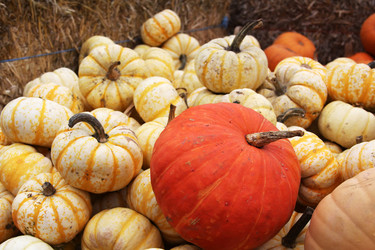 Similar image 3000462