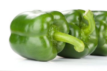 Similar image 3000577