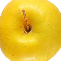 Similar image 3000636