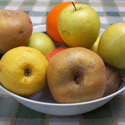 Similar image 3000642