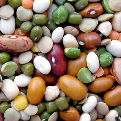 Similar image 3000662