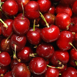 Similar image 3000665