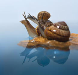 Similar image 3000673