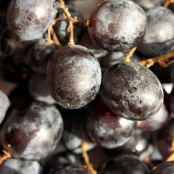 Similar image 3000699