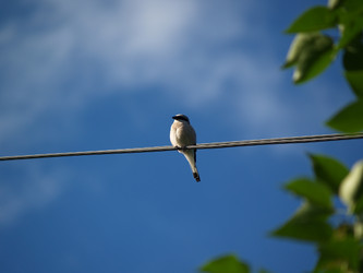 Similar image 3000732