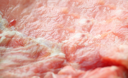 Similar image 3000761