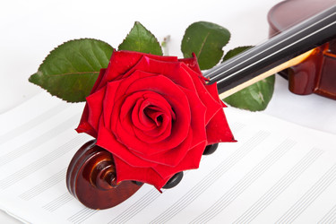 Similar image 3000783