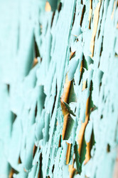 Similar image 3000794