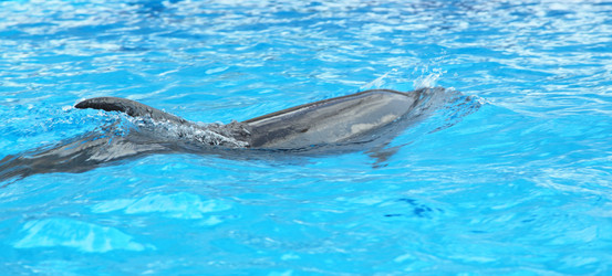 Similar image 3000811