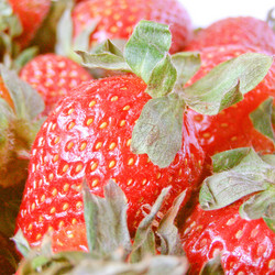 Similar image 3000870