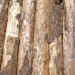 Similar image 3000873