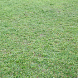 Similar image 3000876