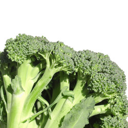 Similar image 3000879