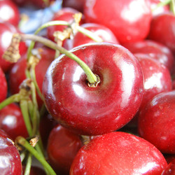 Similar image 3000950