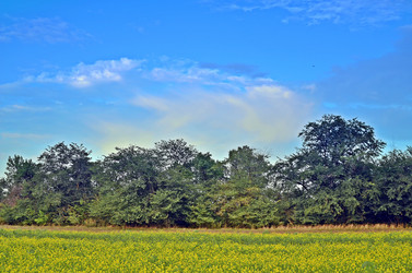 Similar image 3000967