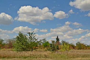 Similar image 3000969