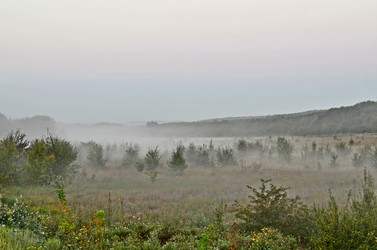 Similar image 3000971