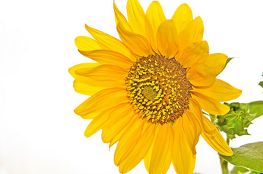 Similar image 3000972