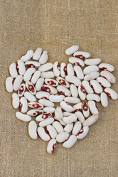 Similar image 3001033