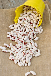 Similar image 3001038