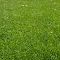 Similar image 3001044