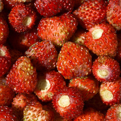 Similar image 3001053